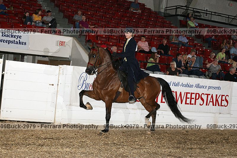 Proof 09buck-2979