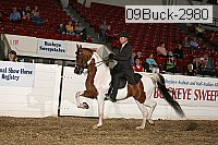 09buck-2980 proof