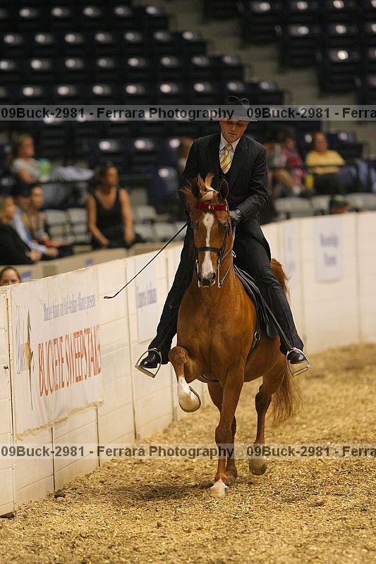 Proof 09buck-2981