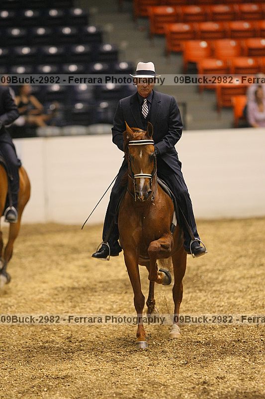 Proof 09buck-2982