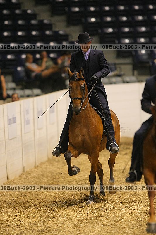 Proof 09buck-2983