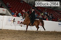 09buck-2984 proof