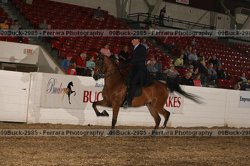 Proof 09buck-2985