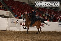 09buck-2985 proof