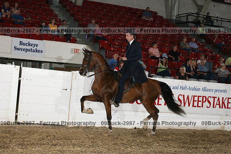 Proof 09buck-2987