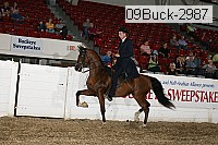 09buck-2987 proof