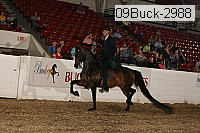 09buck-2988 proof
