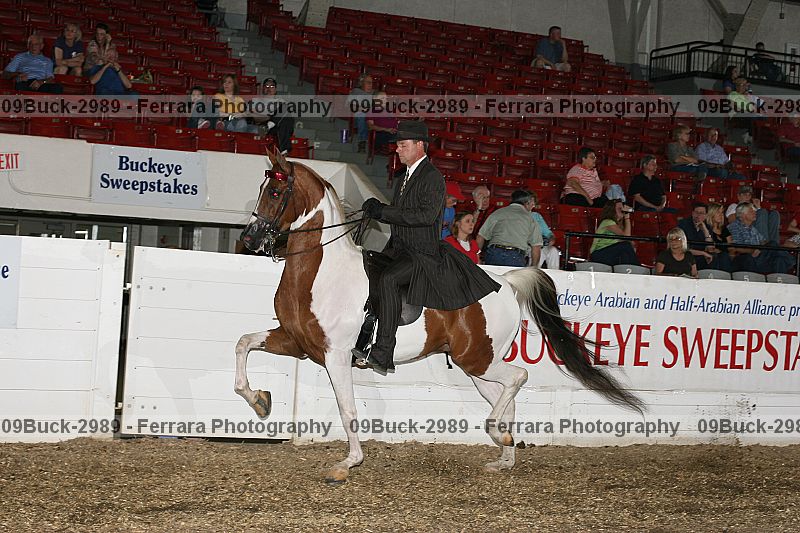 Proof 09buck-2989