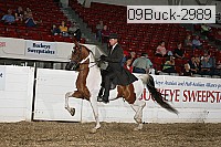 09buck-2989 proof