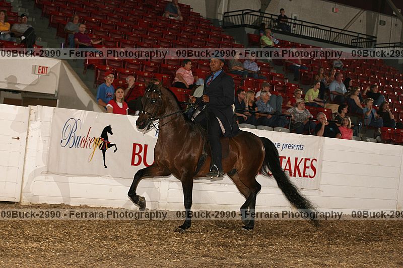 Proof 09buck-2990