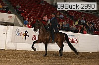 09buck-2990 proof