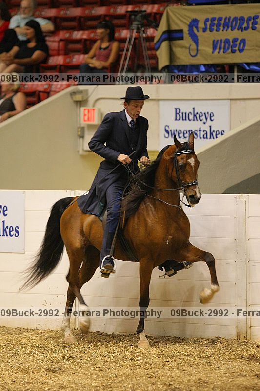 Proof 09buck-2992