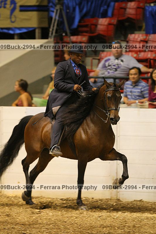 Proof 09buck-2994