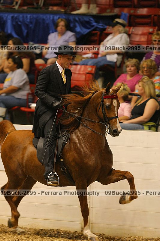 Proof 09buck-2995