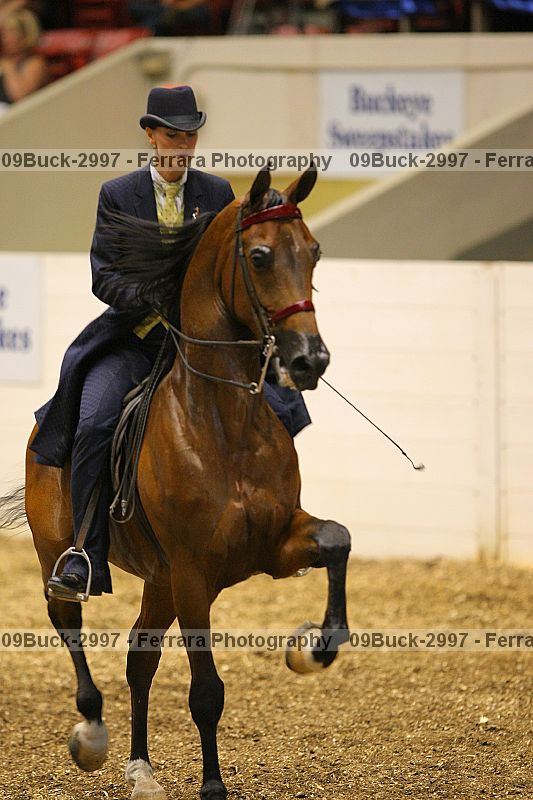 Proof 09buck-2997