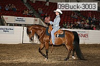 09buck-3003 proof