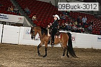 09buck-3012 proof