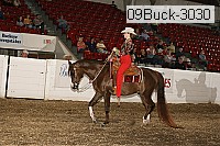 09buck-3030 proof