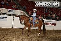 09buck-3032 proof