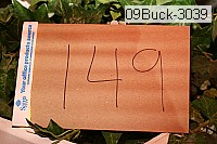 09buck-3039 proof