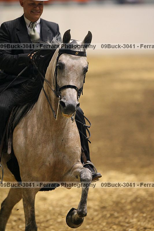 Proof 09buck-3041
