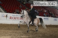 09buck-3042 proof