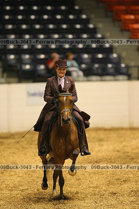 Proof 09buck-3043