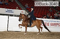 09buck-3048 proof
