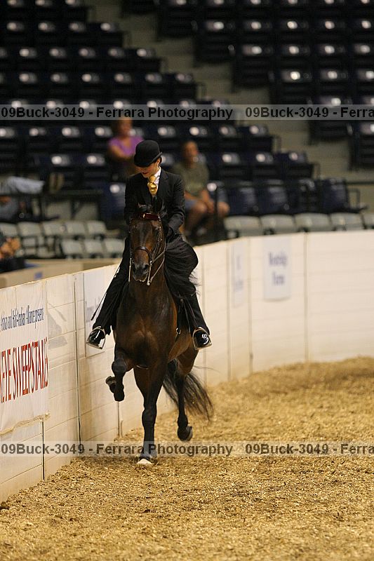 Proof 09buck-3049