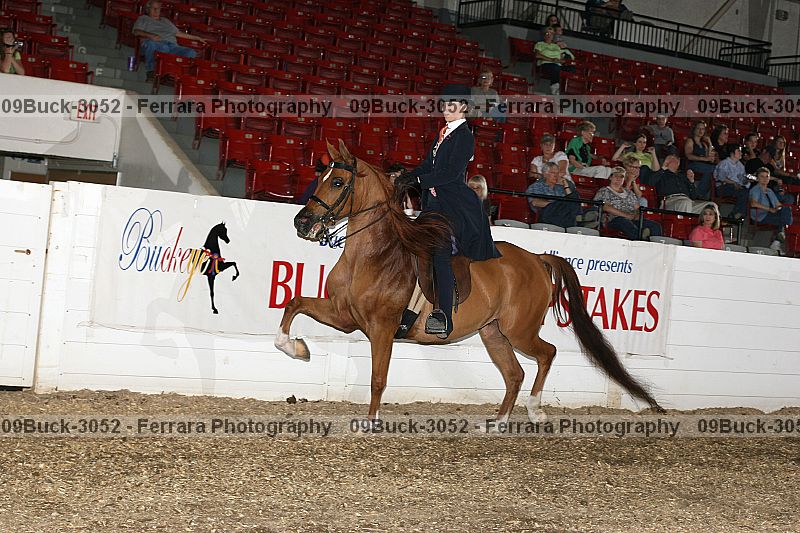 Proof 09buck-3052