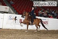 09buck-3052 proof