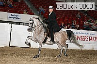 09buck-3053 proof