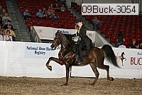 09buck-3054 proof