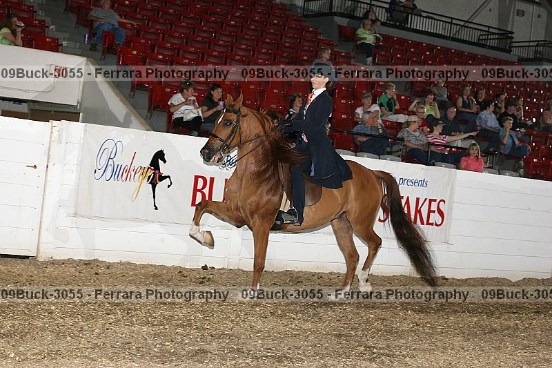 Proof 09buck-3055