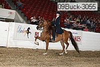 09buck-3055 proof