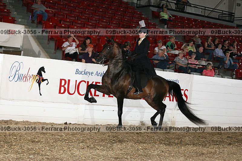 Proof 09buck-3056