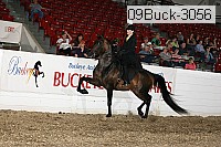 09buck-3056 proof
