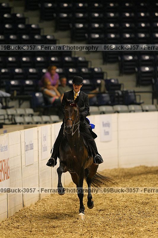 Proof 09buck-3057