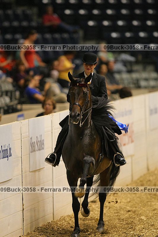 Proof 09buck-3058