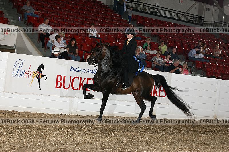 Proof 09buck-3060
