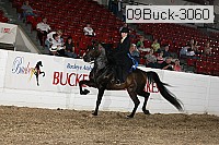 09buck-3060 proof