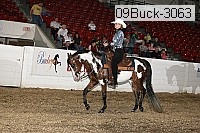09buck-3063 proof