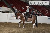 09buck-3071 proof
