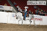 09buck-3074 proof