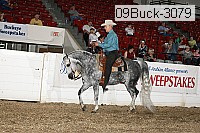 09buck-3079 proof
