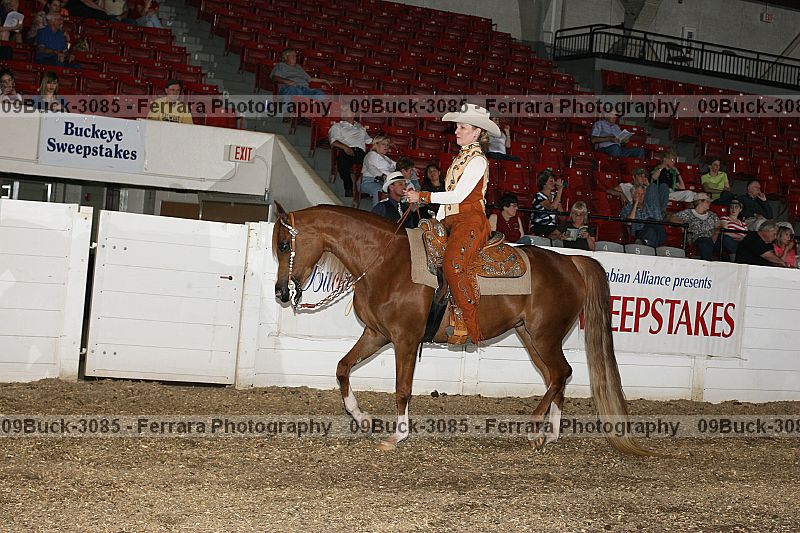Proof 09buck-3085