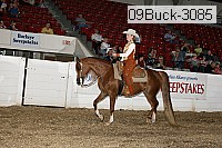 09buck-3085 proof