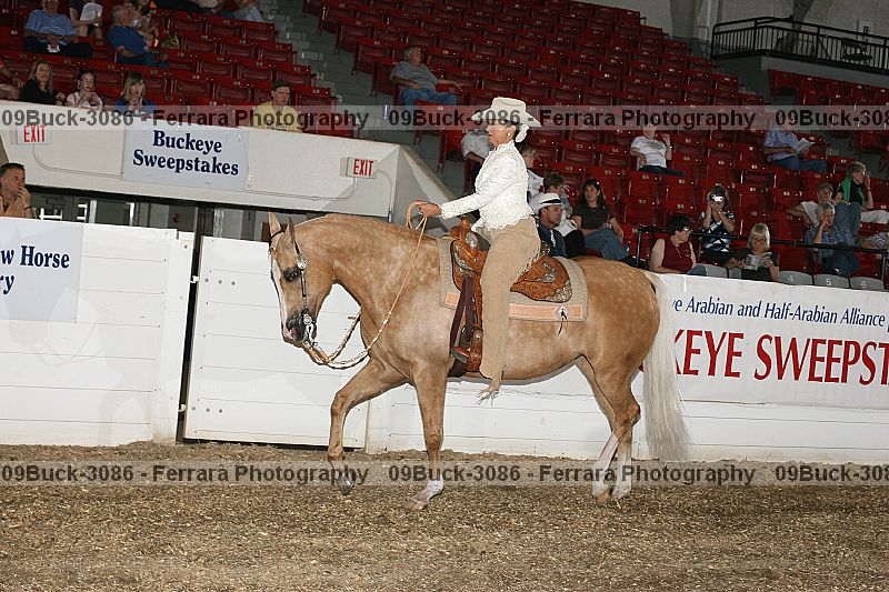 Proof 09buck-3086