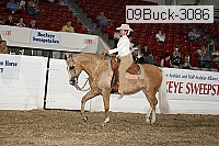 09buck-3086 proof