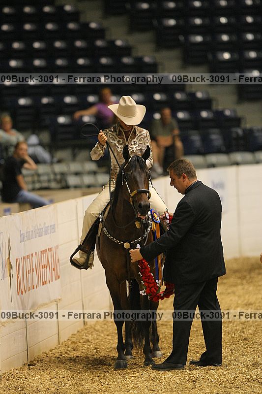 Proof 09buck-3091